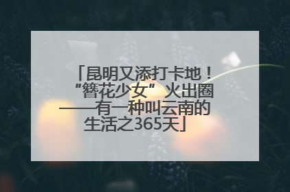 昆明又添打卡地！“簪花少女”火出圈——有一种叫云南的生活之365天