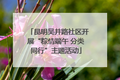 昆明吴井路社区开展“粽情端午 分类同行”主题活动