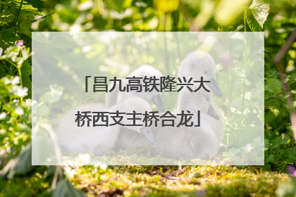 昌九高铁隆兴大桥西支主桥合龙
