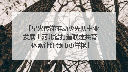 星火传递推动少先队事业发展！河北省打造联建共育体系让红领巾更鲜艳