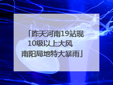 昨天河南19站现10级以上大风  南阳局地特大暴雨