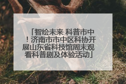 智绘未来 科普市中！济南市市中区科协开展山东省科技馆周末观看科普剧及体验活动