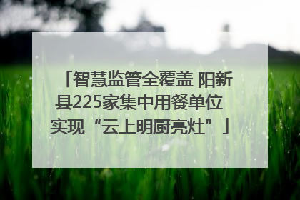 智慧监管全覆盖 阳新县225家集中用餐单位实现“云上明厨亮灶”