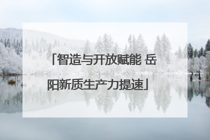 智造与开放赋能 岳阳新质生产力提速