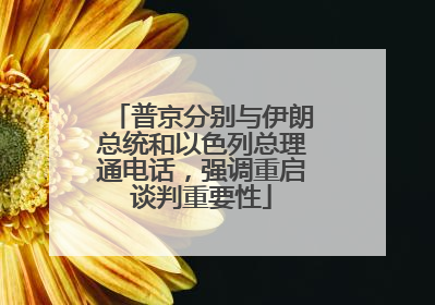 普京分别与伊朗总统和以色列总理通电话，强调重启谈判重要性