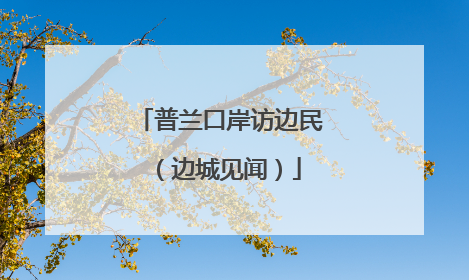 普兰口岸访边民（边城见闻）