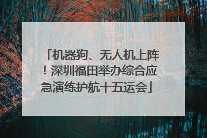 机器狗、无人机上阵！深圳福田举办综合应急演练护航十五运会