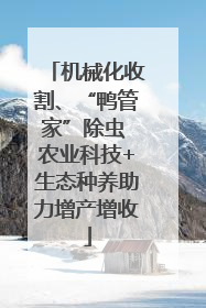 机械化收割、“鸭管家”除虫 农业科技+生态种养助力增产增收