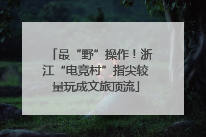 最“野”操作！浙江“电竞村”指尖较量玩成文旅顶流
