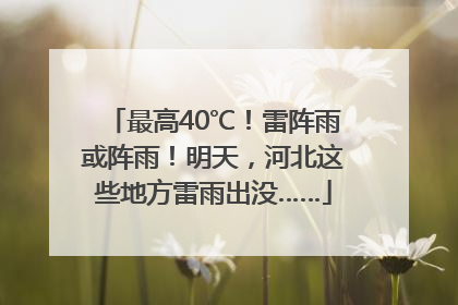 最高40℃！雷阵雨或阵雨！明天，河北这些地方雷雨出没……