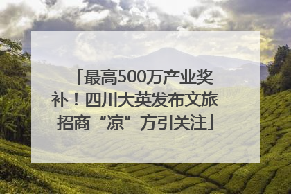 最高500万产业奖补！四川大英发布文旅招商“凉”方引关注