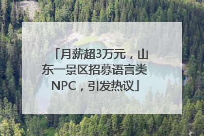 月薪超3万元，山东一景区招募语言类NPC，引发热议