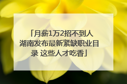 月薪1万2招不到人 湖南发布最新紧缺职业目录 这些人才吃香