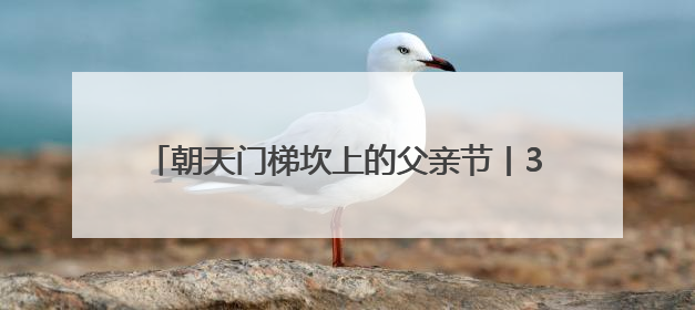 朝天门梯坎上的父亲节丨308寝室，全员“上岸”