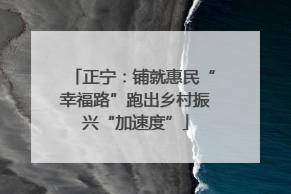 正宁：铺就惠民“幸福路”跑出乡村振兴“加速度”