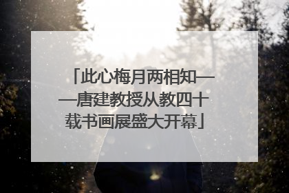 此心梅月两相知——唐建教授从教四十载书画展盛大开幕