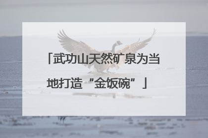 武功山天然矿泉为当地打造“金饭碗”