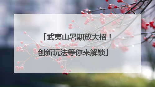 武夷山暑期放大招！创新玩法等你来解锁