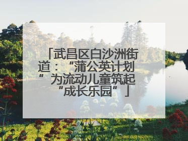 武昌区白沙洲街道：“蒲公英计划”为流动儿童筑起“成长乐园”