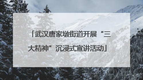 武汉唐家墩街道开展“三大精神”沉浸式宣讲活动