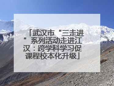 武汉市“三走进”系列活动走进江汉：跨学科学习促课程校本化升级