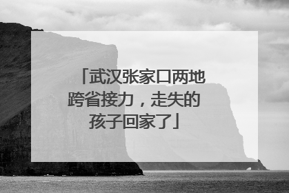 武汉张家口两地跨省接力，走失的孩子回家了