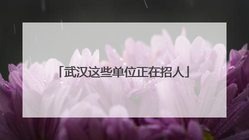 武汉这些单位正在招人