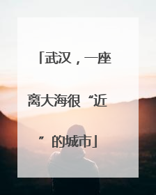武汉，一座离大海很“近”的城市