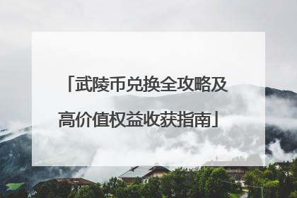 武陵币兑换全攻略及高价值权益收获指南