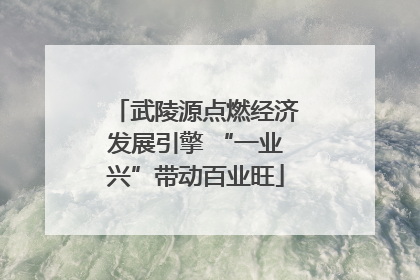武陵源点燃经济发展引擎 “一业兴”带动百业旺