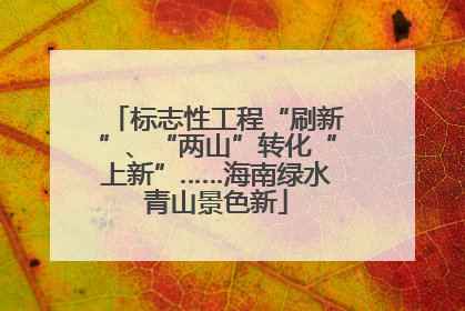 标志性工程“刷新”、“两山”转化“上新”……海南绿水青山景色新