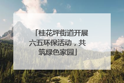 桂花坪街道开展六五环保活动，共筑绿色家园