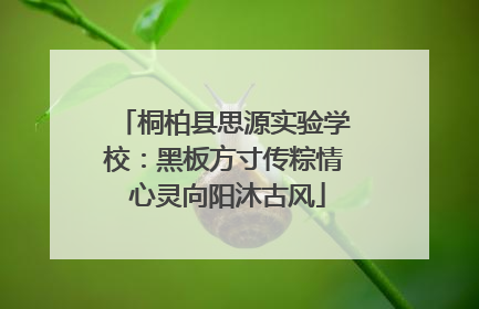 桐柏县思源实验学校：黑板方寸传粽情 心灵向阳沐古风