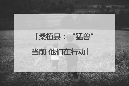 桑植县：“猛兽”当前 他们在行动