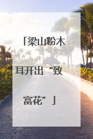 梁山粉木耳开出“致富花”