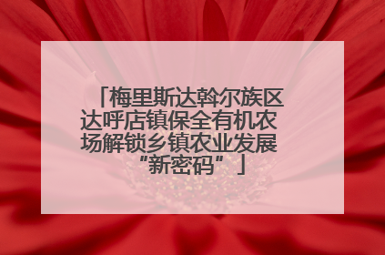 梅里斯达斡尔族区达呼店镇保全有机农场解锁乡镇农业发展“新密码”