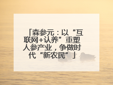 森参元：以“互联网+认养”重塑人参产业，争做时代“新农民”