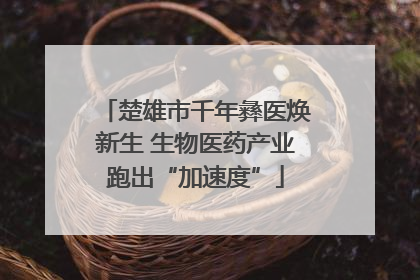 楚雄市千年彝医焕新生 生物医药产业跑出“加速度”