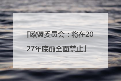 欧盟委员会：将在2027年底前全面禁止