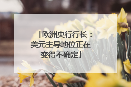 欧洲央行行长：美元主导地位正在变得不确定