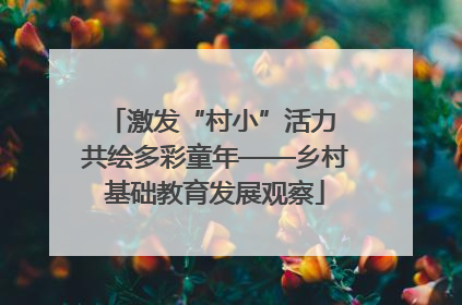 激发“村小”活力 共绘多彩童年——乡村基础教育发展观察