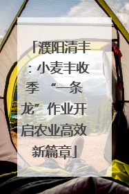 濮阳清丰：小麦丰收季 “一条龙”作业开启农业高效新篇章