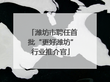 潍坊市聘任首批“更好潍坊”行业推介官
