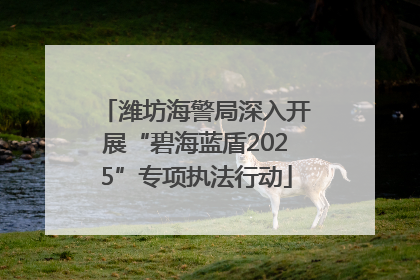 潍坊海警局深入开展“碧海蓝盾2025”专项执法行动