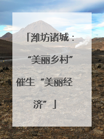 潍坊诸城：“美丽乡村”催生“美丽经济”
