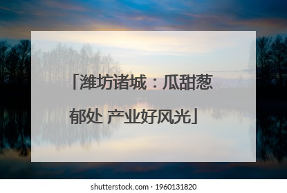 潍坊诸城：瓜甜葱郁处 产业好风光