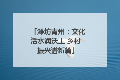 潍坊青州：文化活水润沃土 乡村振兴谱新篇