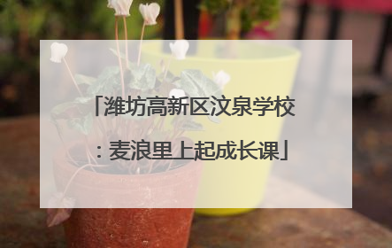 潍坊高新区汶泉学校：麦浪里上起成长课