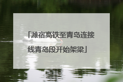 潍宿高铁至青岛连接线青岛段开始架梁