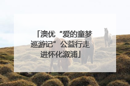 澳优“爱的童梦巡游记”公益行走进怀化溆浦